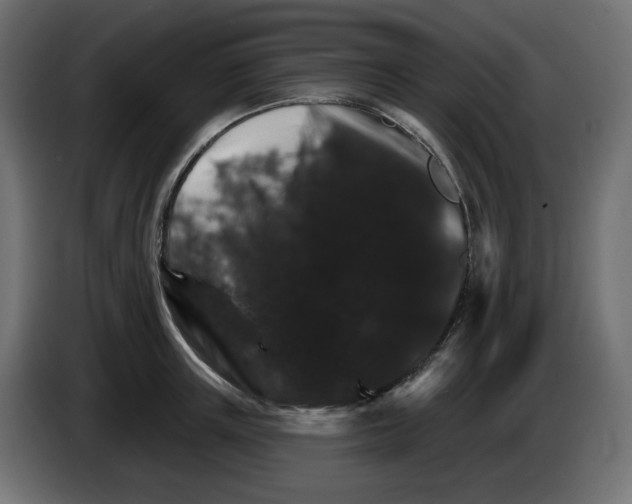 X0000084520851200703231629