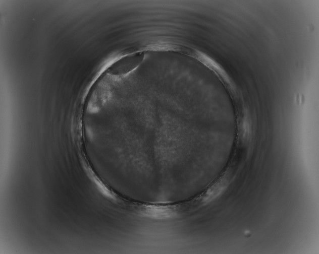 X0000084520852200703231629
