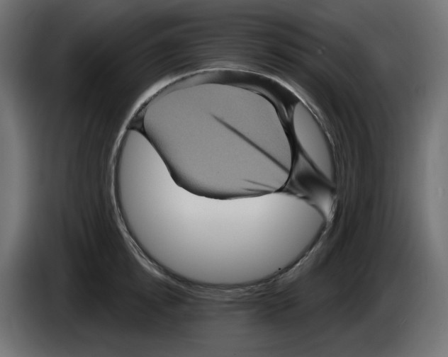 X0000084520854200703231629