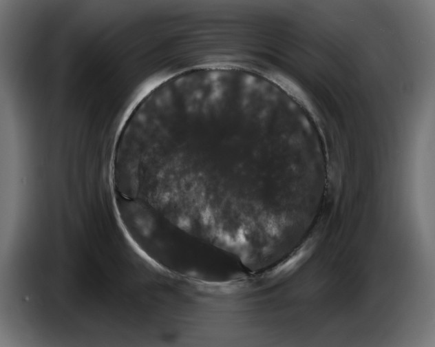 X0000084520855200703231629