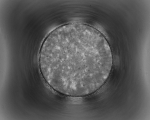 X0000084520856200703231629