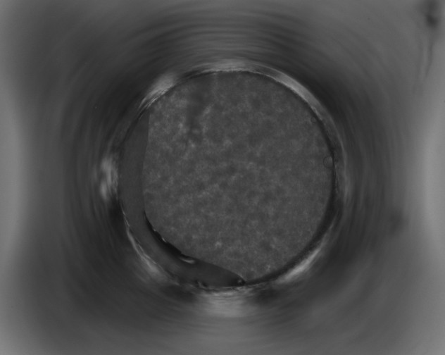 X0000084520857200703231629