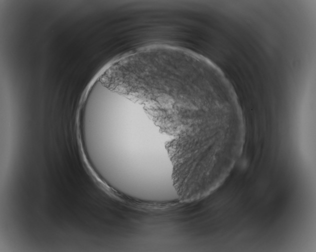 X0000084520859200703231629