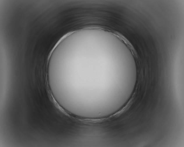 X0000084520860200703231629