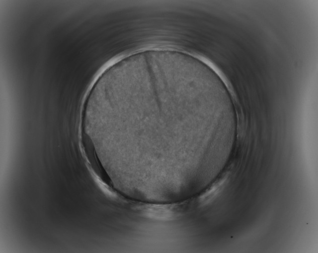 X0000084520861200703231629