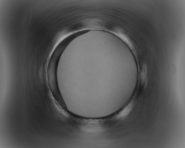 X0000084520862200703231629