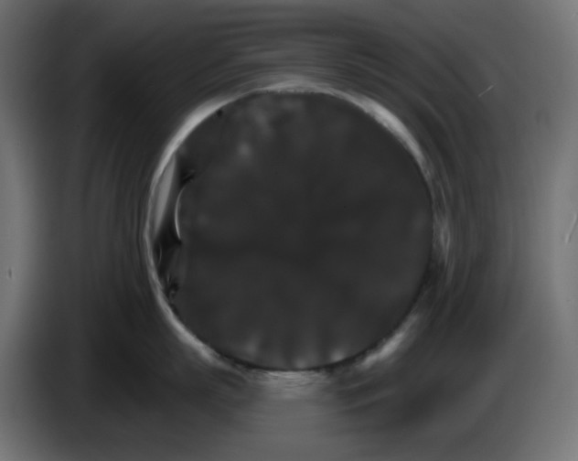 X0000084520863200703231629