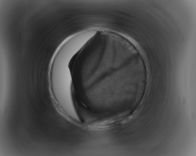 X0000084520864200703231629