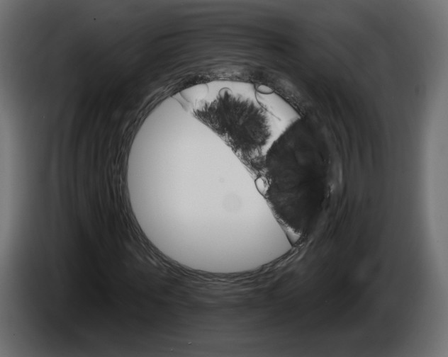 X0000084520867200703231628