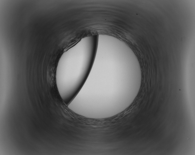 X0000084520868200703231628