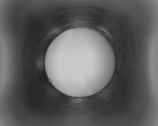 X0000084520869200703231628