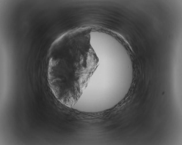 X0000084520871200703231628