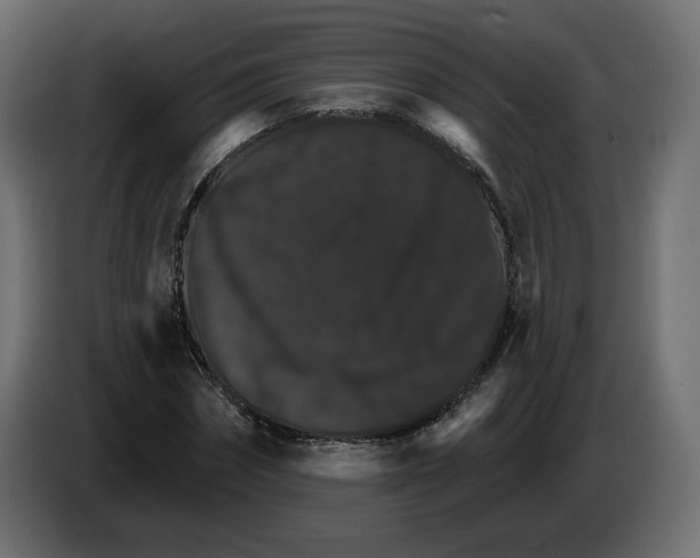 X0000084520874200703231628
