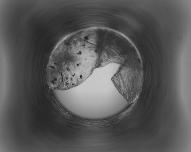 X0000084520875200703231628