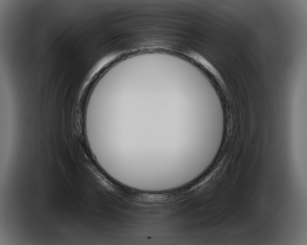 X0000084520878200703231628