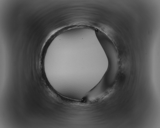X0000084520880200703231628