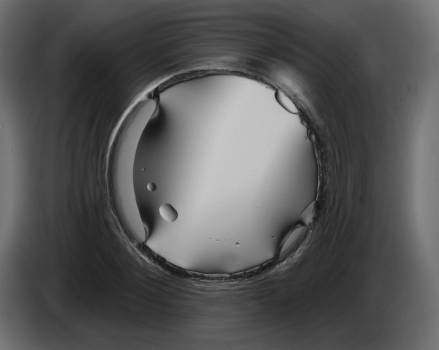 X0000084520884200703231628