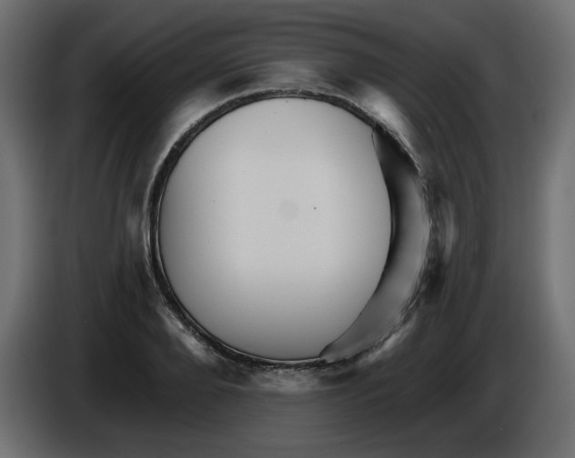 X0000084520888200703231628