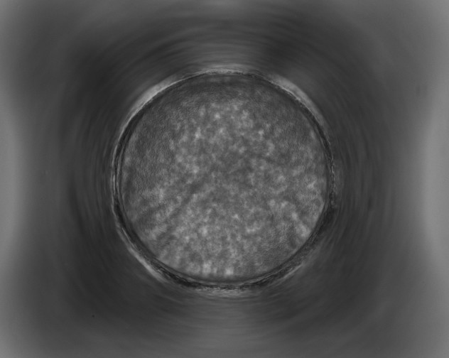 X0000084520890200703231628