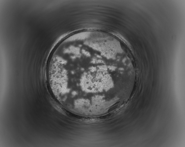 X0000084520891200703231628