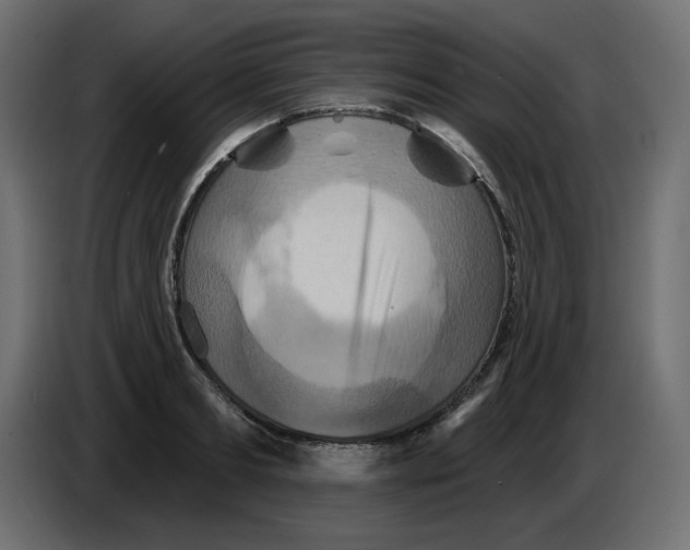 X0000084520893200703231628