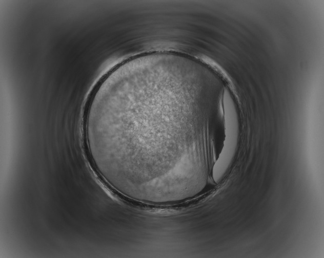 X0000084520894200703231628