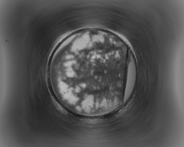 X0000084520895200703231628
