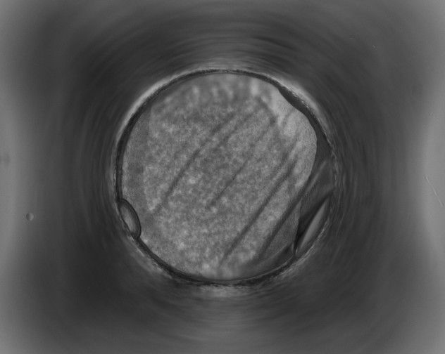 X0000084520896200703231628