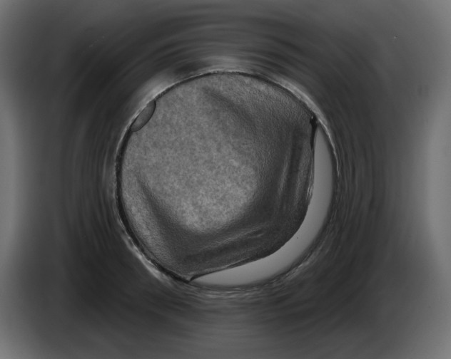 X0000084520898200703231628