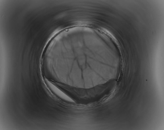 X0000084520899200703231628