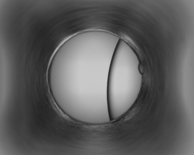X0000084520900200703231628
