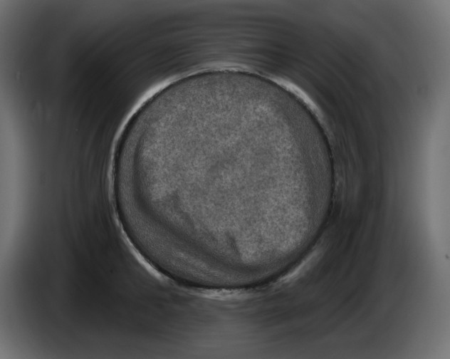 X0000084520902200703231628