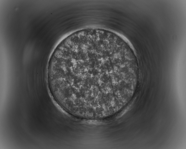 X0000084520903200703231628
