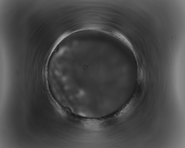 X0000084520907200703231628