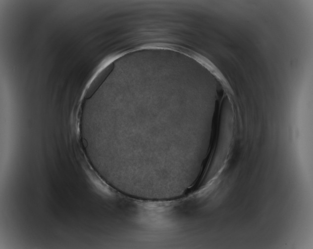 X0000084520908200703231628