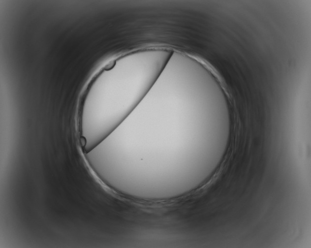 X0000084520910200703231628