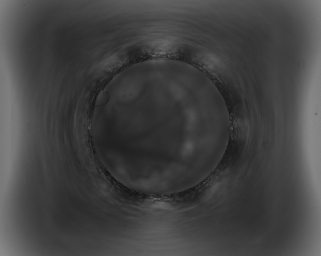 X0000084520913200703231627