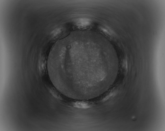 X0000084520914200703231627