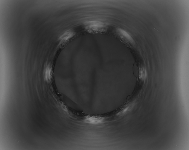 X0000084520915200703231627