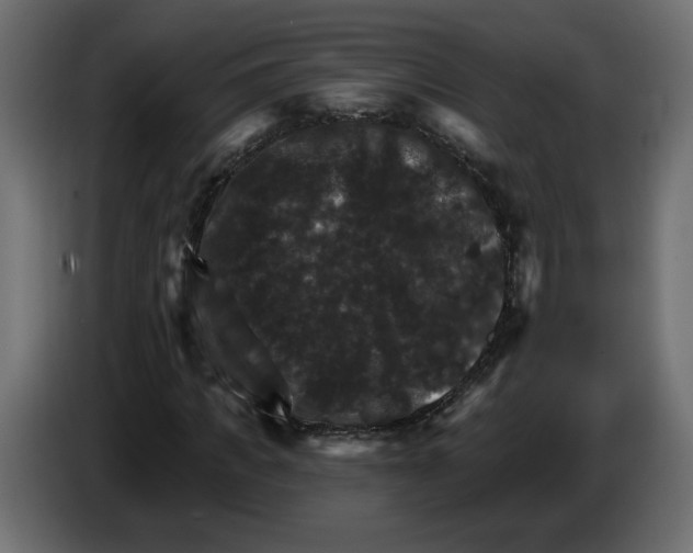 X0000084520917200703231627