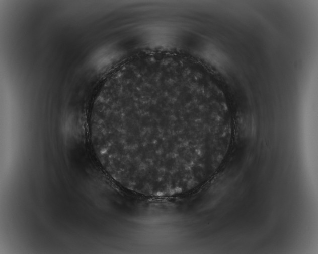 X0000084520918200703231627