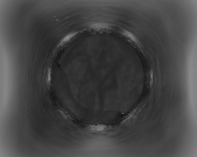 X0000084520919200703231627