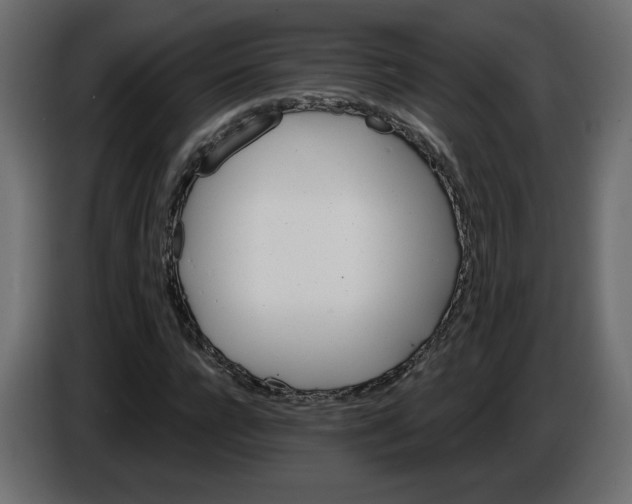 X0000084520920200703231627
