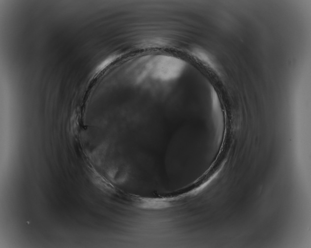X0000084520921200703231627