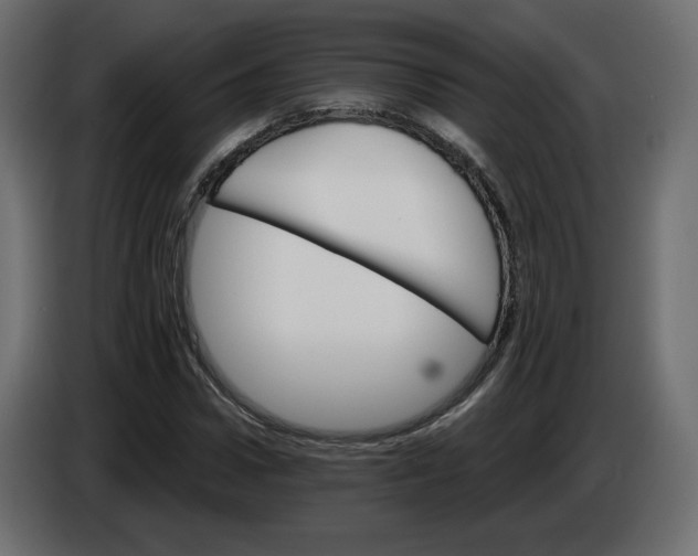 X0000084520922200703231627