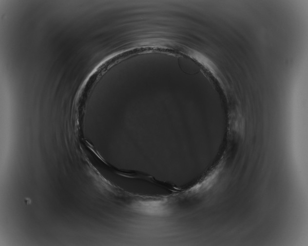 X0000084520923200703231627