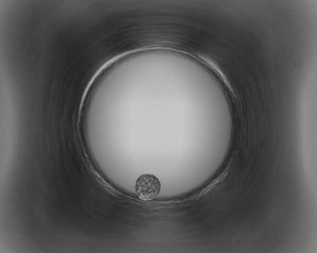 X0000084520924200703231627