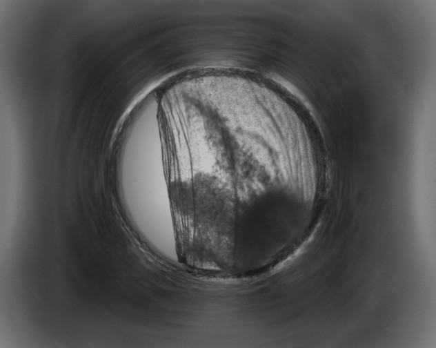 X0000084520925200703231627