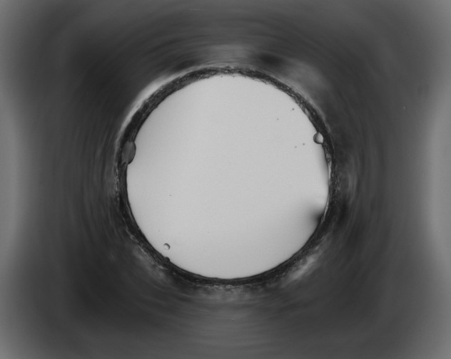 X0000084520927200703231627