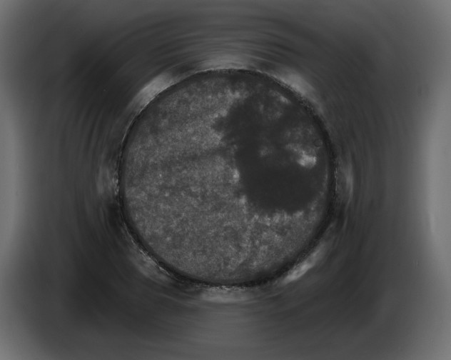 X0000084520929200703231627